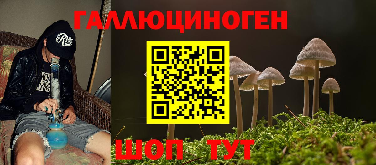 закладки  Галлюциногенные грибы Magic Shrooms  Вход с VPN  Мичуринск 